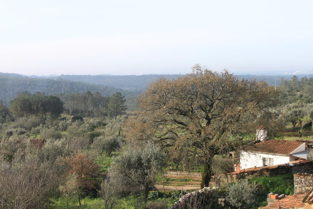 Villa Quinta De Sao Joao à Poios Extérieur photo
