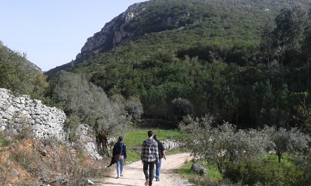 Villa Quinta De Sao Joao à Poios Extérieur photo