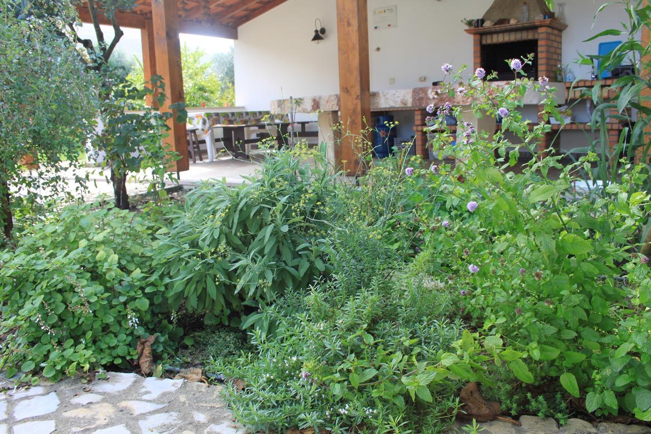 Villa Quinta De Sao Joao à Poios Extérieur photo